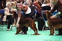 Crufts2011 250